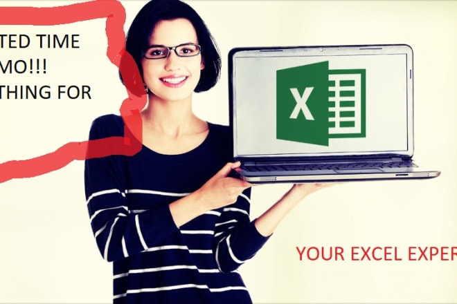 I will excel expert advanced, vba, macro, formula, chart, dashboard, form, web tools