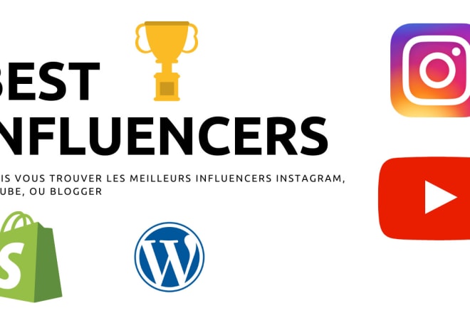 I will find best instagram influencer, youtube or twitter, blog