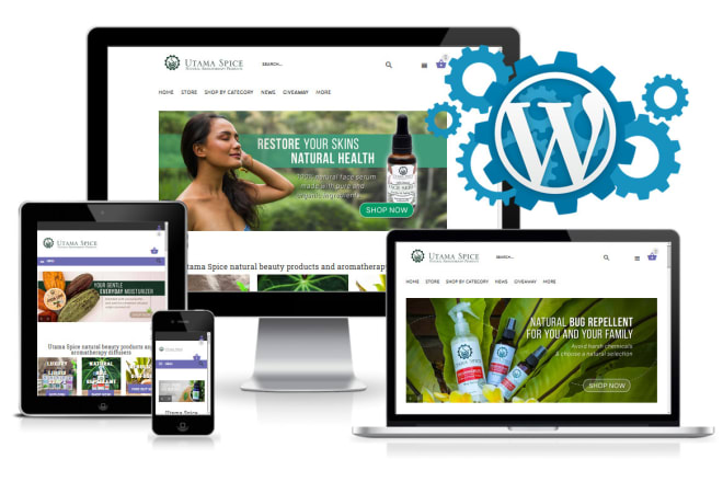 I will fix, customize, edit your wordpress website, plugin or theme