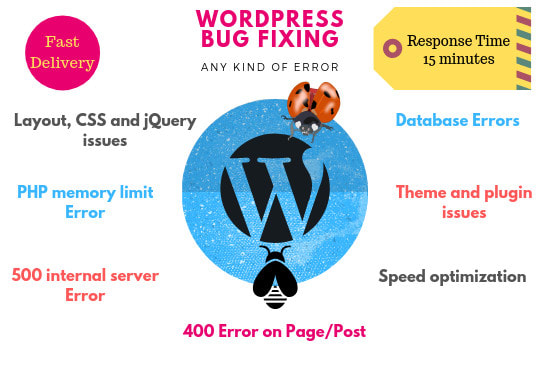 I will fix wordpress error, issue or any kind of bug