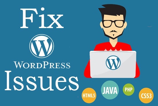 I will fix your wordpress bug