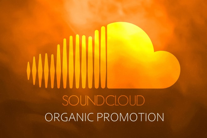 I will get 1000 plays on your soundcloud track via organic promotion