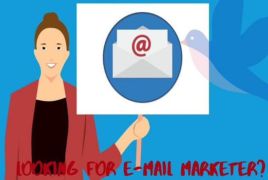 I will give you niche email list database
