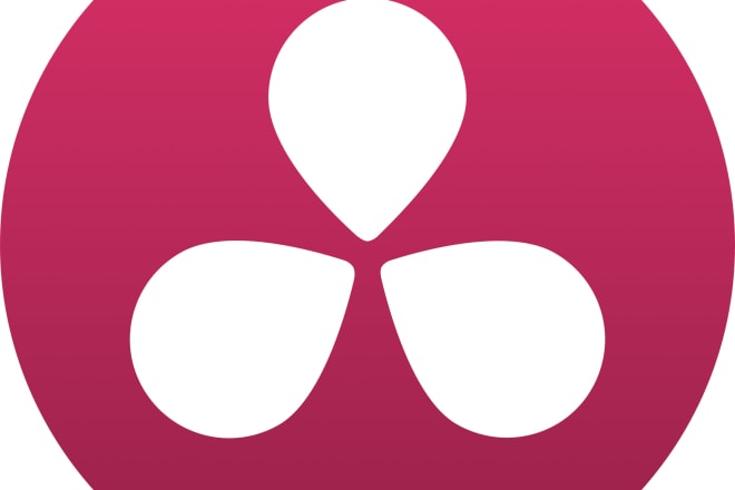 I will give you one to one davinci resolve lessons