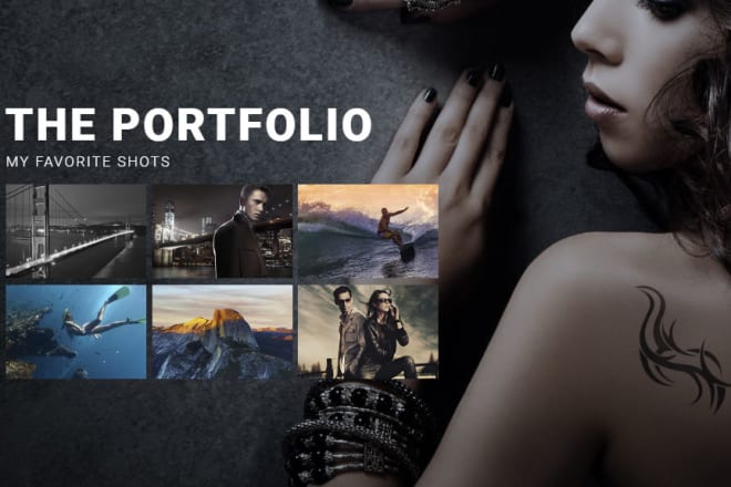 I will give your business a professional portfolio website