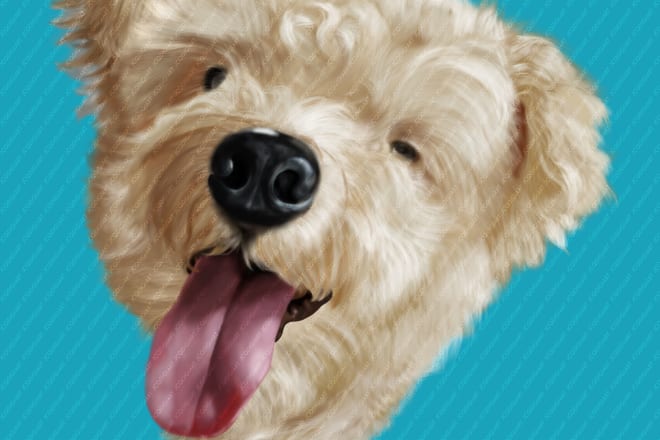 I will illustrate your pet animal into a semi realistic digital art