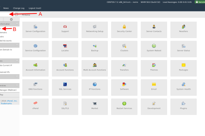 I will install and setup cpanel whm on vps or dedicated server