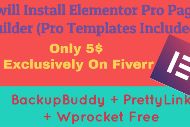 I will install elementor pro plugin on your website with my license