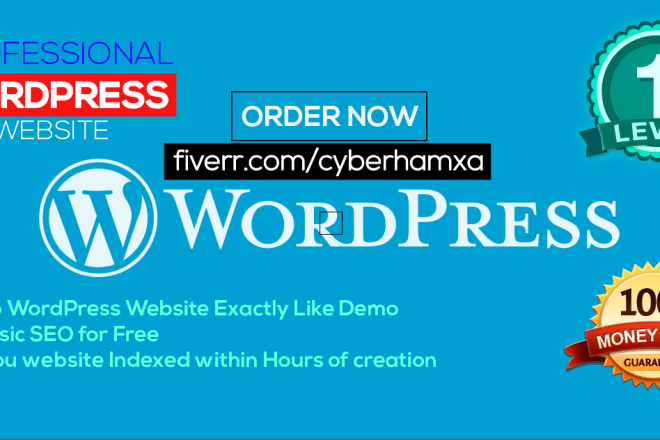 I will install wordpress theme and setup exactly like demo