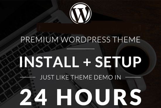I will install wordpress theme and setup like demo