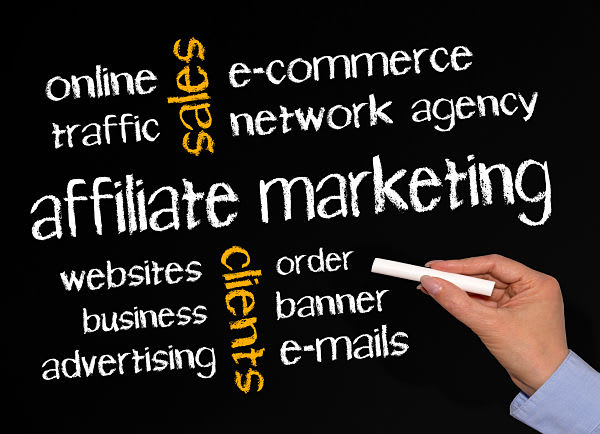 I will manage your affiliate program