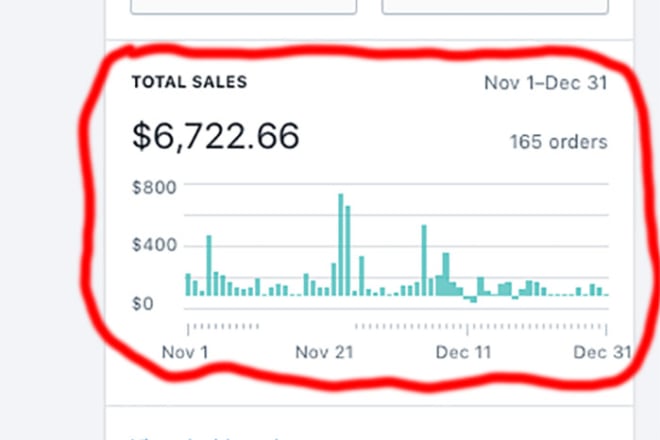 I will optimize your shopify website to increase sales