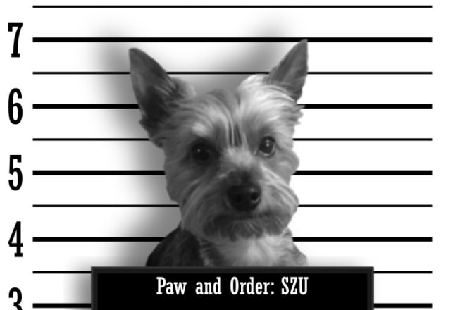 I will photoshop a funny pet mugshot