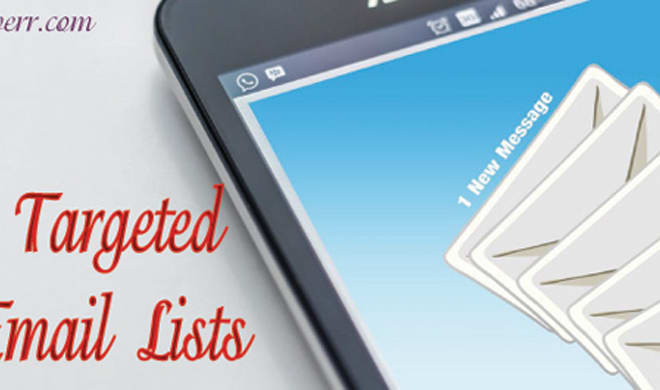 I will provide targeted business email list