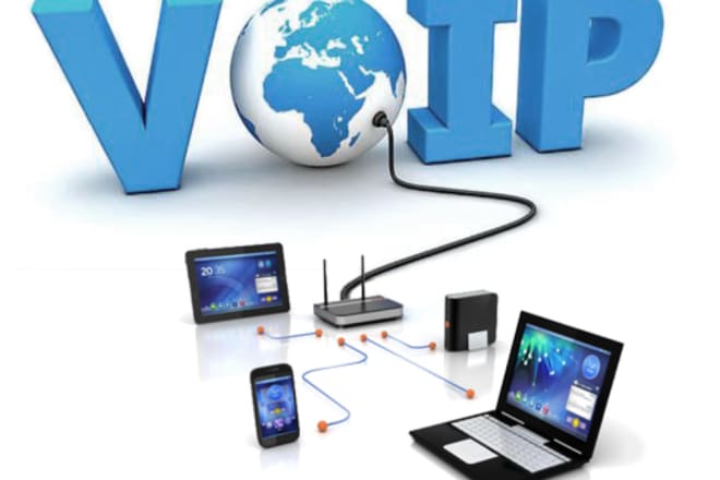 I will provide vicibox and voip server support