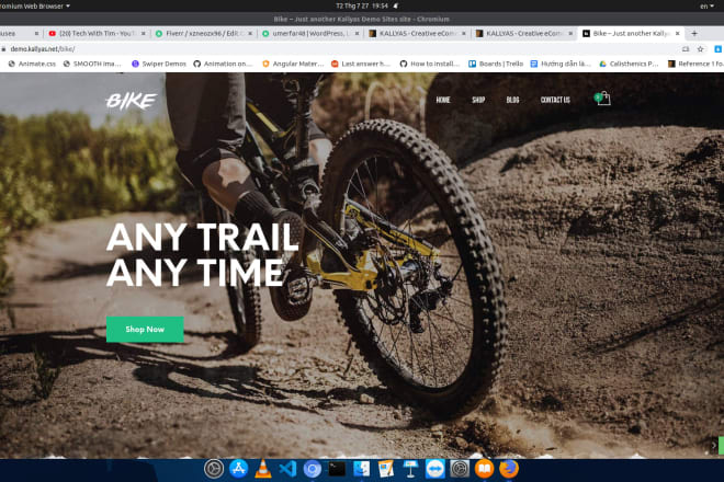 I will provide you the best website ever