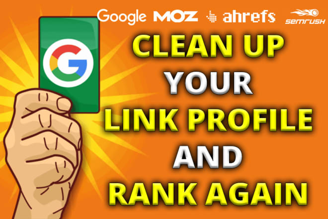 I will remove, disavow bad links and rank your website again