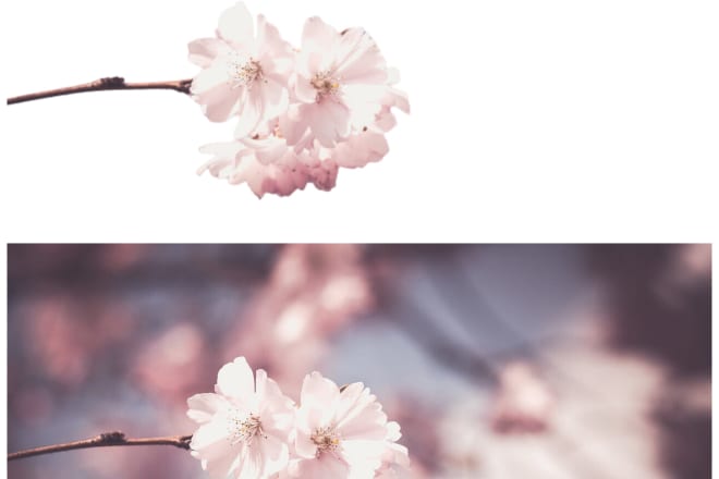 I will removed background image photo and product clear and smooth