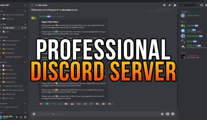 I will roblox professional discord server maker