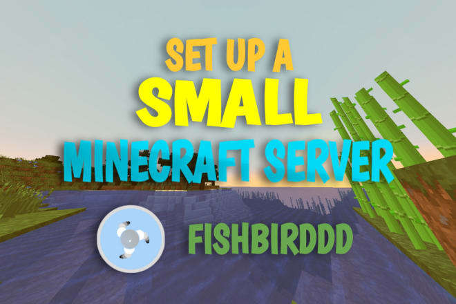 I will set up a small minecraft server