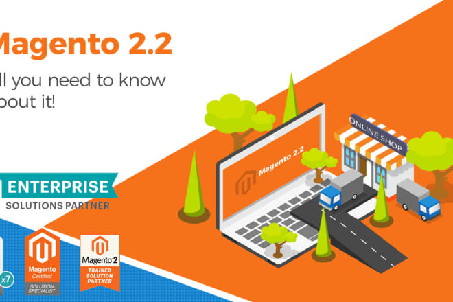 I will set up magento store on latest version of magento