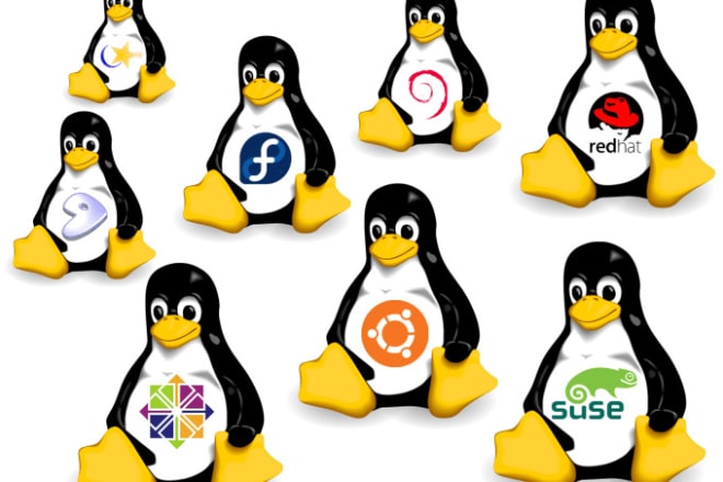 I will setup web hosting, server management on cloud platforms, like AWS