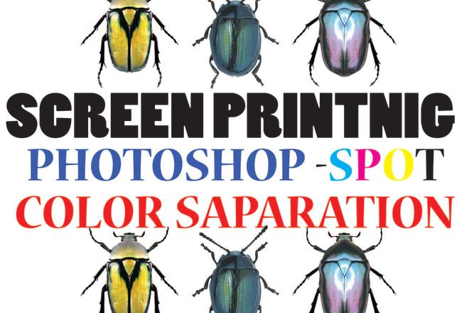 I will spot color saparation in photo print