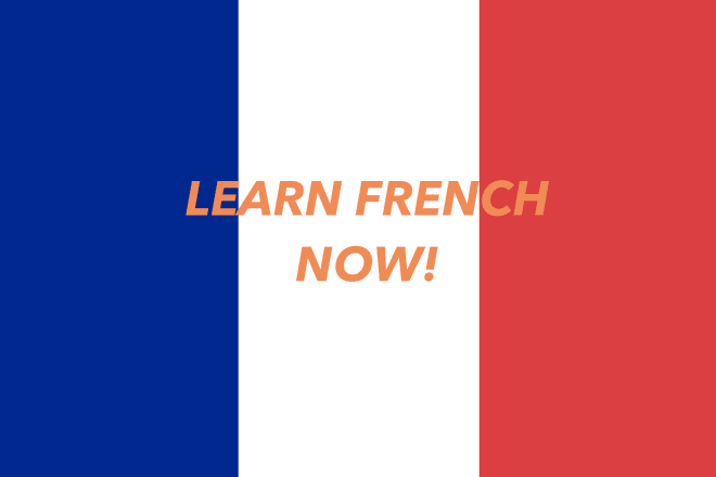 I will teach you french today