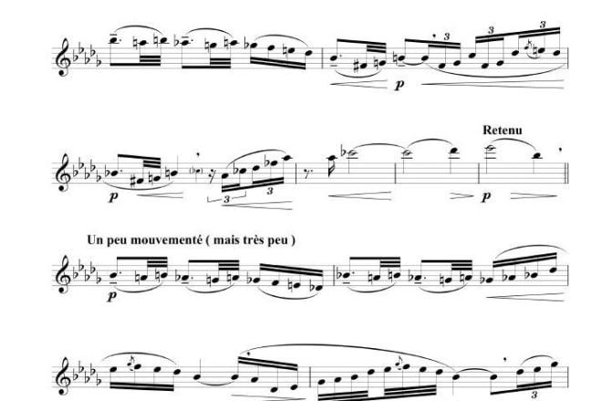 I will transcribe manuscripts scores on music notation software