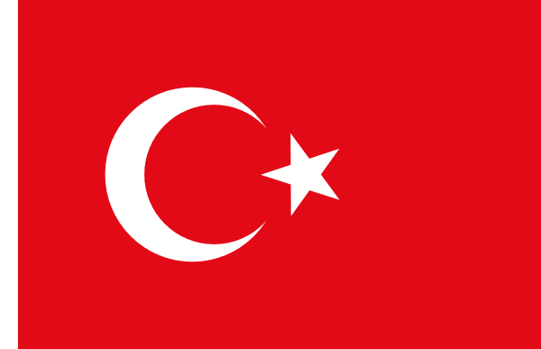 I will translate 500 words from english to turkish and english to turkish