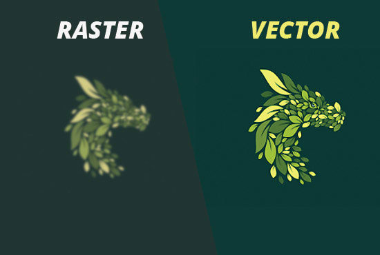 I will vector trace logo, vectoring raster to vector format