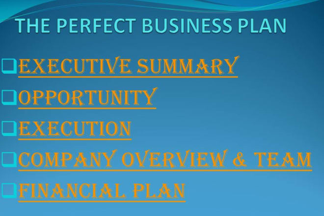 I will write a business plan