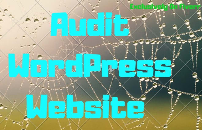 I will audit wordpress website and send complete report