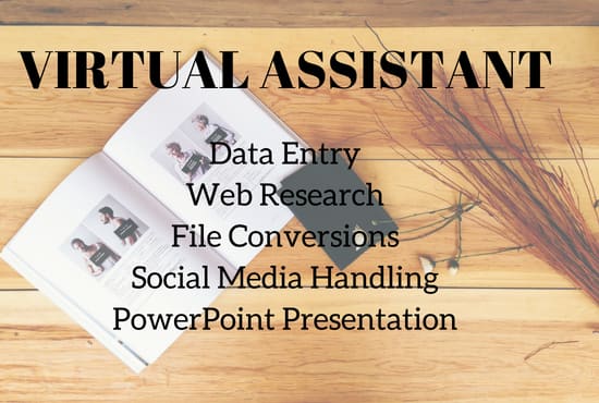 I will be your professional virtual assistant