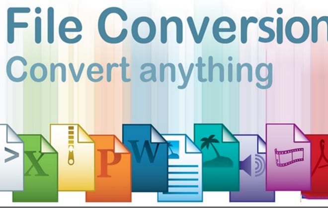 I will convert your any file to needy file