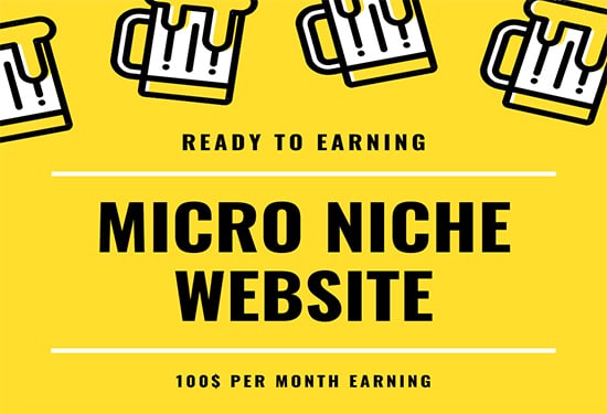 I will create profitable micro niche adsense website