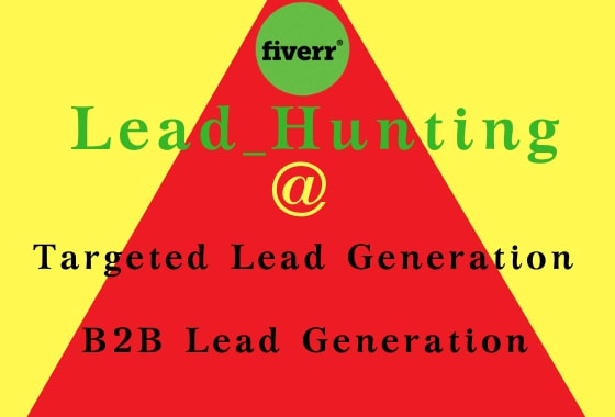 I will do b2b lead generation and targeted lead generation