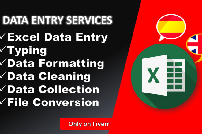 I will do complete data entry and pdf to excel projects eng spa