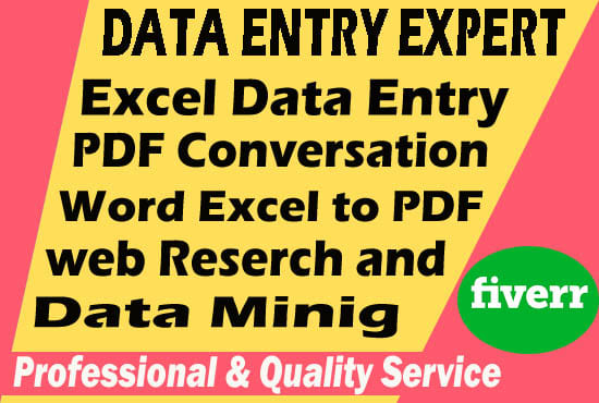 I will do excel data entry online data entry offline data entry