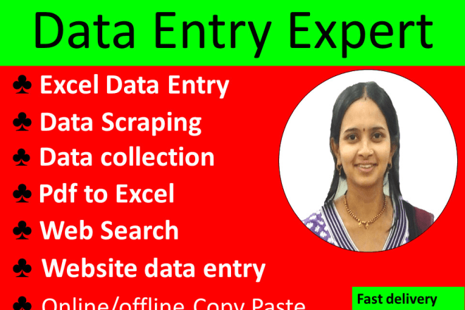 I will do excel data entry, pdf to excel, copy paste, data scrape