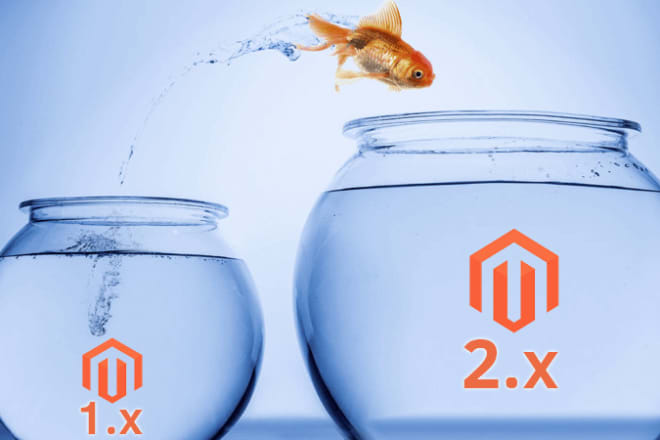 I will do migration from magento 1 to magento 2