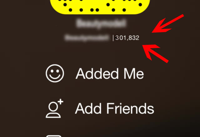I will give you a shoutout on my 30k snapchat followers