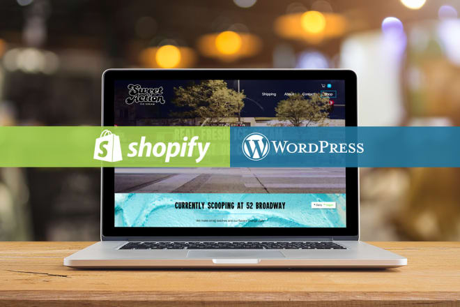 I will make ecommerce website in shopify or wordpress