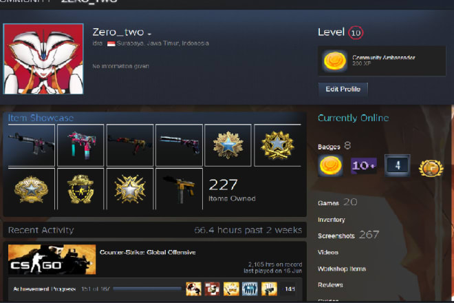 I will ranking up your csgo ranks