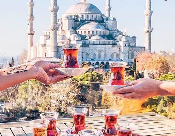 I will translate any text in english,arabic,turkish