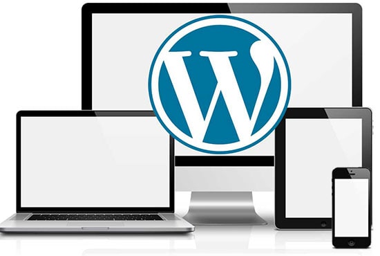 I will wordpress development and maintenance