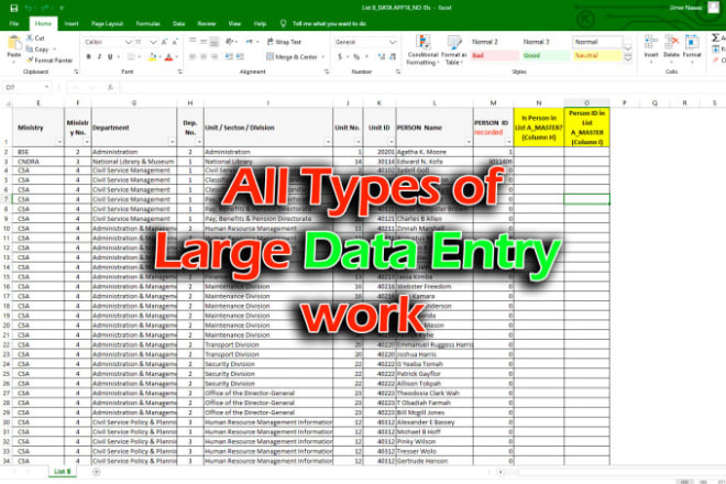 I will do low pricing and accurate any kind of data entry