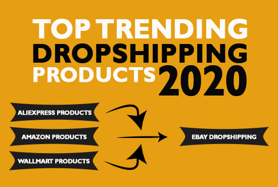 I will find unlimited drop shipping product for ebay store