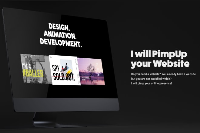I will make a professional website for you