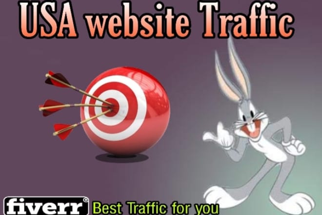 I will bring targeted web traffic, visitors from USA